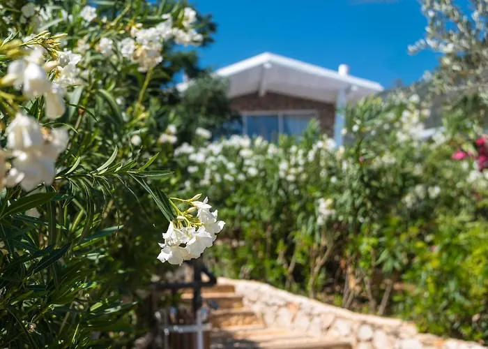 Likya Pavilion Ріад