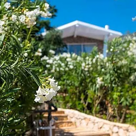 Hotel typu riad Likya Pavilion Kaş